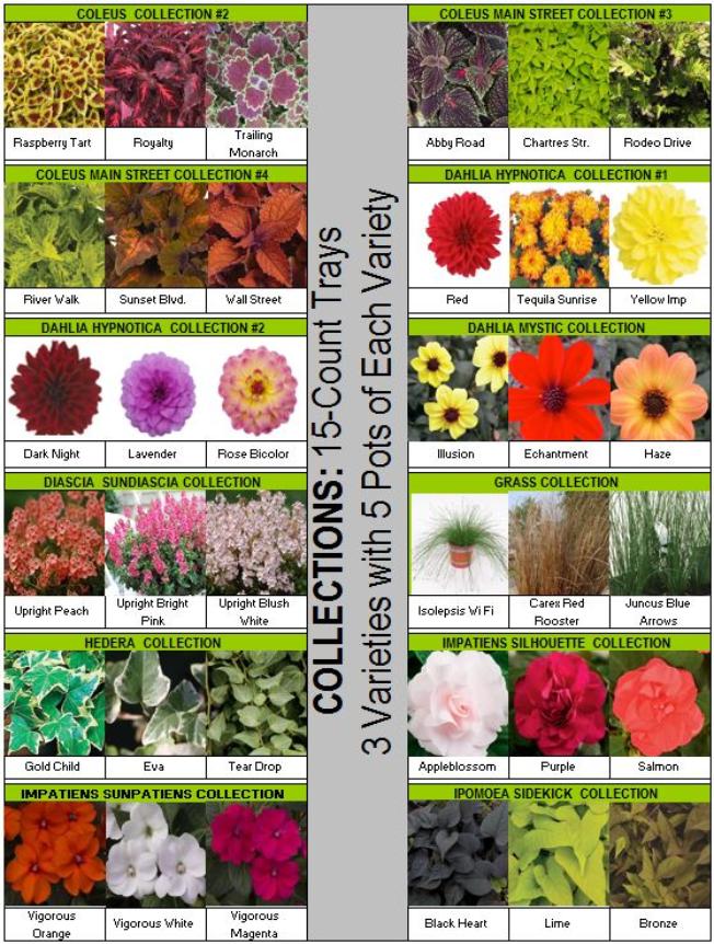 Wholesale Plant List